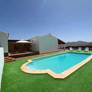 el-olivar-lolo-suites.in-canary-islands.com/